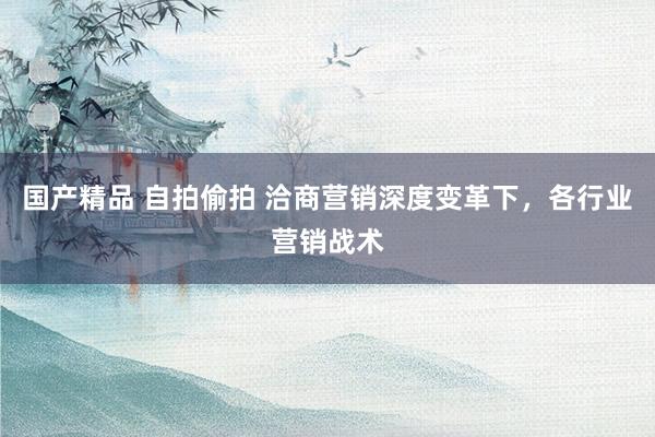国产精品 自拍偷拍 洽商营销深度变革下，各行业营销战术