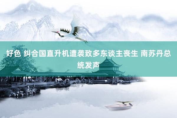 好色 纠合国直升机遭袭致多东谈主丧生 南苏丹总统发声