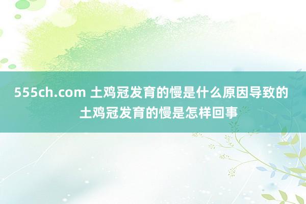 555ch.com 土鸡冠发育的慢是什么原因导致的    土鸡冠发育的慢是怎样回事