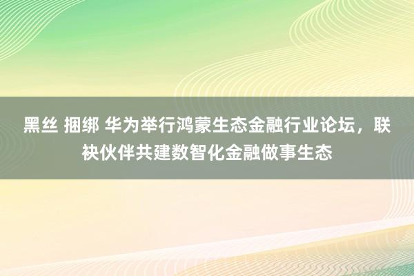 黑丝 捆绑 华为举行鸿蒙生态金融行业论坛，联袂伙伴共建数智化金融做事生态