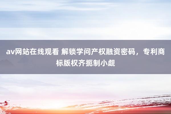 av网站在线观看 解锁学问产权融资密码，专利商标版权齐扼制小觑