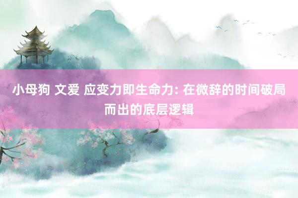 小母狗 文爱 应变力即生命力: 在微辞的时间破局而出的底层逻辑