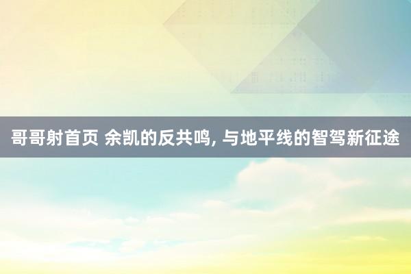 哥哥射首页 余凯的反共鸣， 与地平线的智驾新征途