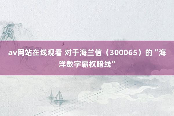 av网站在线观看 对于海兰信（300065）的“海洋数字霸权暗线”